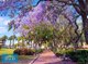 Photo - 199/22 Great Western Highway, Parramatta NSW 2150 - Image 19
