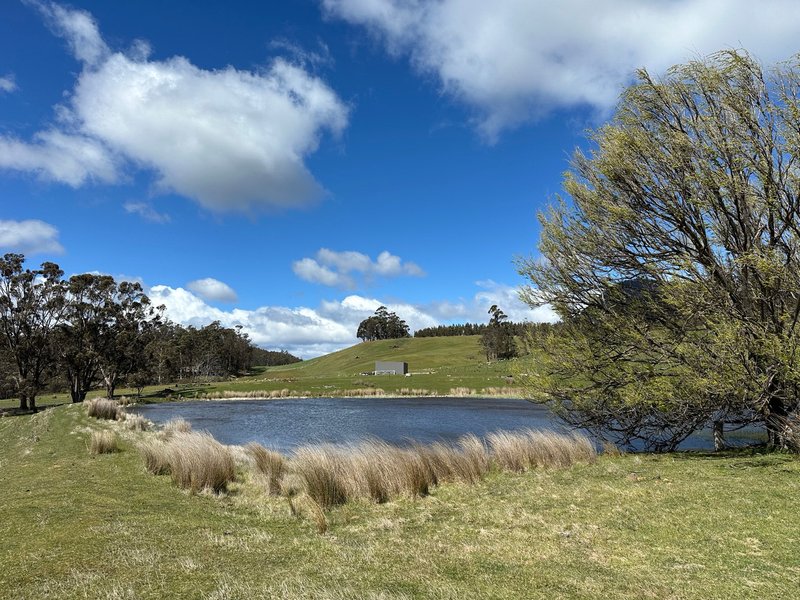 Photo - 1993 Buckland Road, Woodsdale TAS 7120 - Image 3