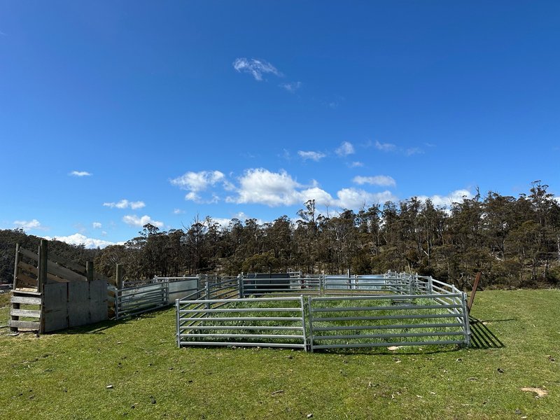 Photo - 1993 Buckland Road, Woodsdale TAS 7120 - Image 6