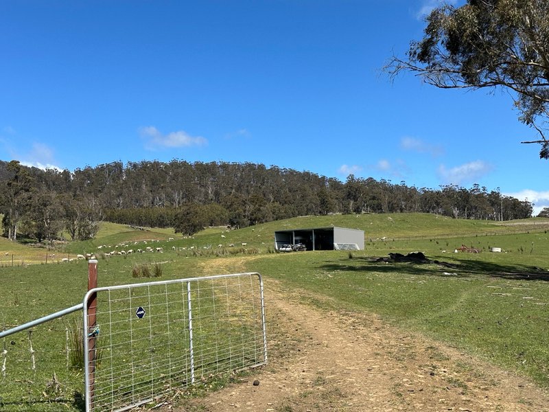 Photo - 1993 Buckland Road, Woodsdale TAS 7120 - Image 7