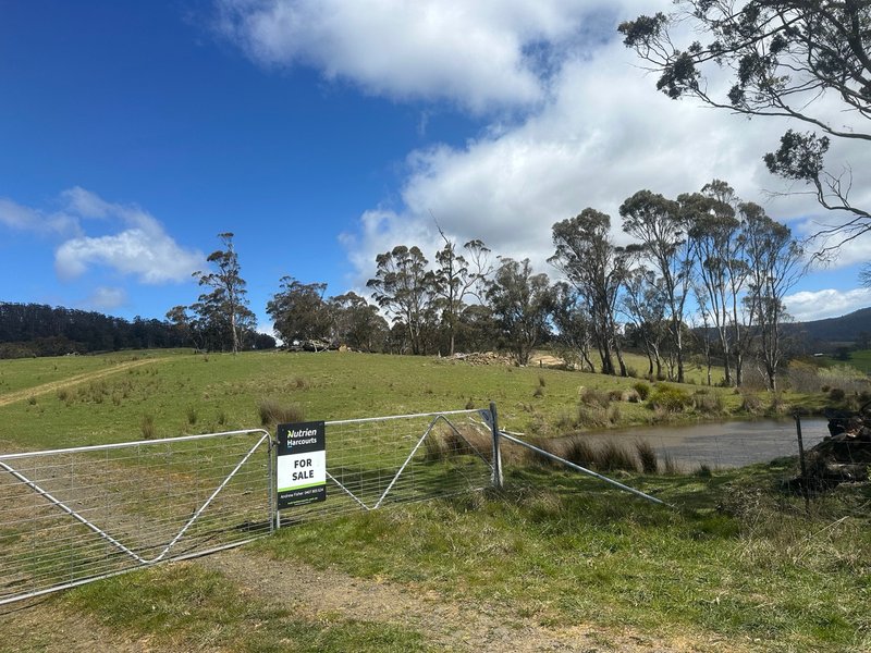 Photo - 1993 Buckland Road, Woodsdale TAS 7120 - Image 11