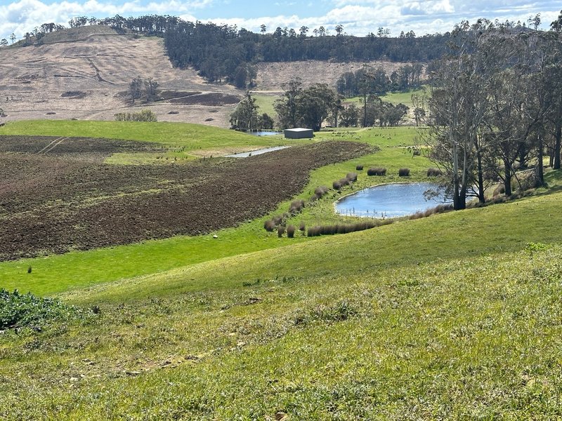 Photo - 1993 Buckland Road, Woodsdale TAS 7120 - Image 18