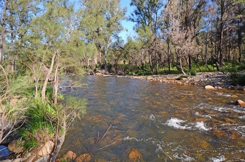 Photo - 1994 Forbes River Road, Forbes River NSW 2446 - Image 10