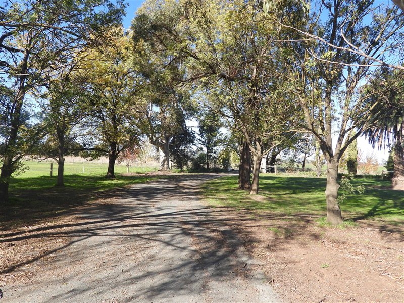 Photo - 1994 Wilson Road, Koyuga VIC 3622 - Image 3