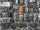 Photo - 19A Noble Street, Concord NSW 2137 - Image 16