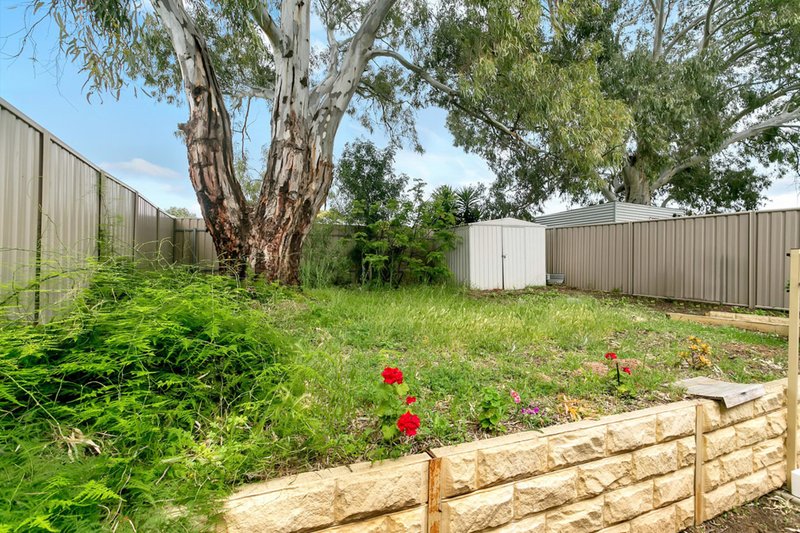 Photo - 19A Tarpeena Avenue, Windsor Gardens SA 5087 - Image 12