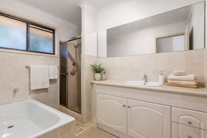 Photo - 19A Violet Street, Roselands NSW 2196 - Image 5