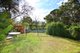 Photo - 1a Algernon Street, Oatley NSW 2223 - Image 4