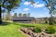 Photo - 1A Cutharich Place, Moruya NSW 2537 - Image 10