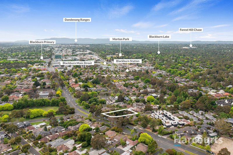 Photo - 1a Frankcom Street, Blackburn VIC 3130 - Image 2