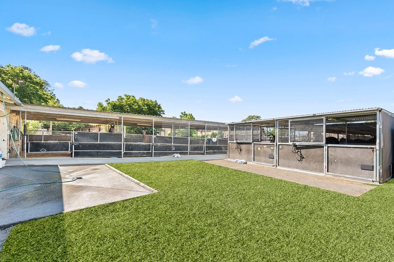 Photo - 1a Kingston Town Drive, Kembla Grange NSW 2526 - Image 8
