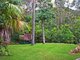 Photo - 1A Murrawal Road, Stanwell Park NSW 2508 - Image 10