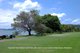 Photo - 1A Waratah , Palm Beach NSW 2108 - Image 4