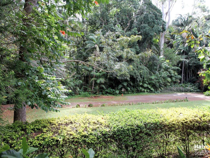 Photo - 1A/25 Eagle Heights Road, Tamborine Mountain QLD 4272 - Image 6