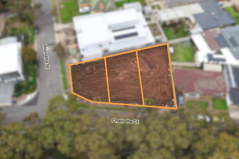 Photo - 1b Wandilla Street, Grange SA 5022 - Image 9
