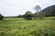 Photo - 1L Pine Creek Road, Glen Boughton QLD 4871 - Image 13