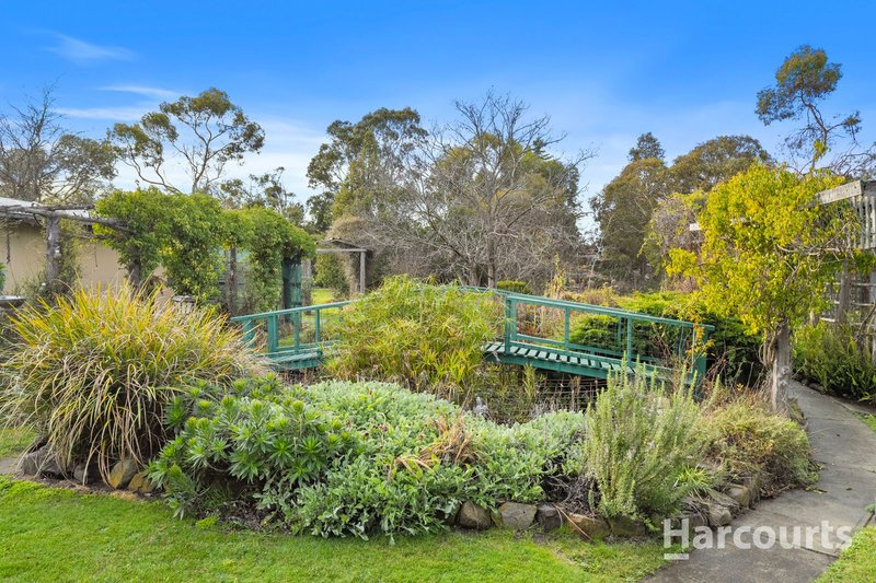 Photo - 2-4 Melbourne Street, Triabunna TAS 7190 - Image 15