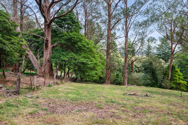 Photo - 2-6 William Street, Bowral NSW 2576 - Image 6