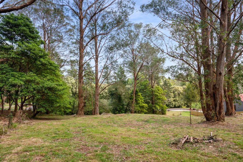 Photo - 2-6 William Street, Bowral NSW 2576 - Image 7