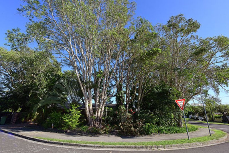 Photo - 2 Allambie Street, Maroochydore QLD 4558 - Image 8