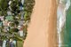 Photo - 2 Allen Avenue, Bilgola Beach NSW 2107 - Image 17