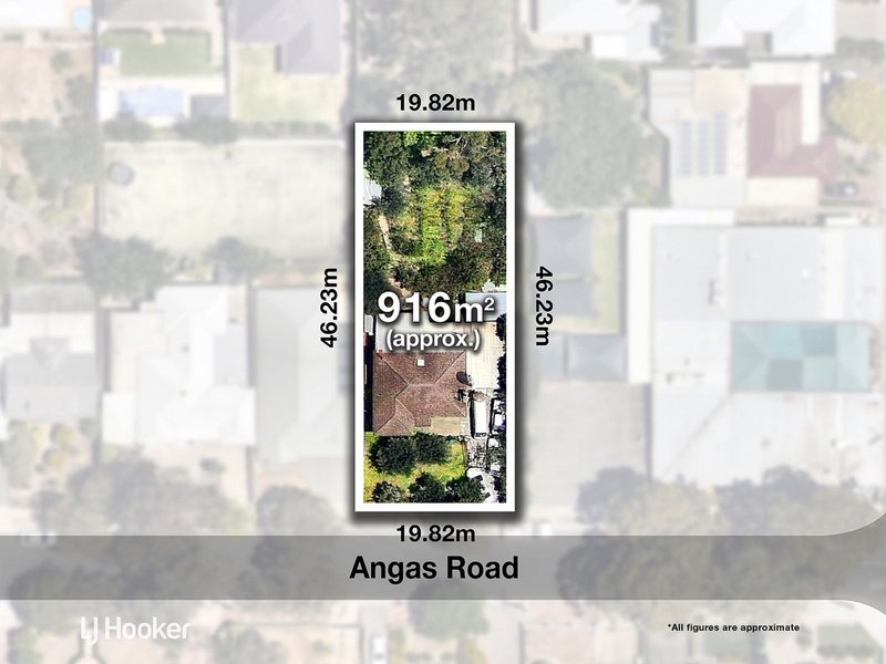 2 Angas Road, Magill SA 5072