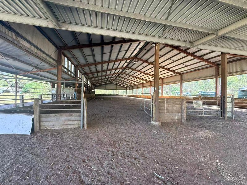 Photo - 2 Anthonys Road, Walloon QLD 4306 - Image 8