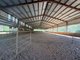 Photo - 2 Anthonys Road, Walloon QLD 4306 - Image 9