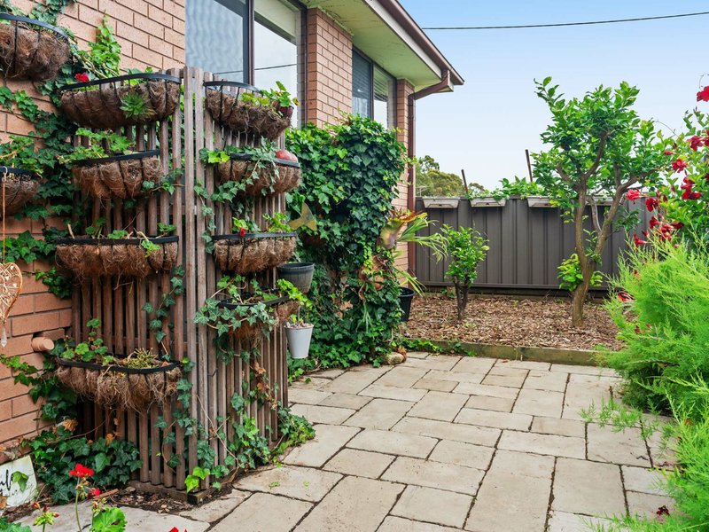 Photo - 2 Bailey Street, Brightwaters NSW 2264 - Image 7