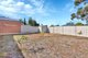 Photo - 2 Bowman Street, Elizabeth Park SA 5113 - Image 12