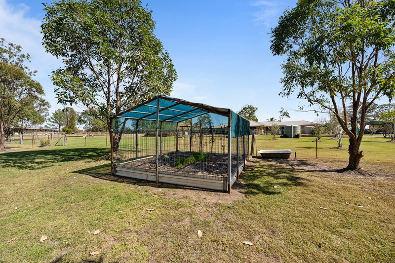 Photo - 2 Brandy Place, Elland NSW 2460 - Image 34