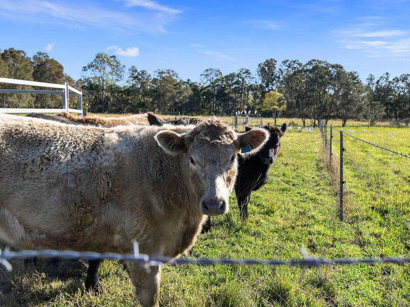 2 Byron Street, East Wardell, NSW 2477 - Image 9