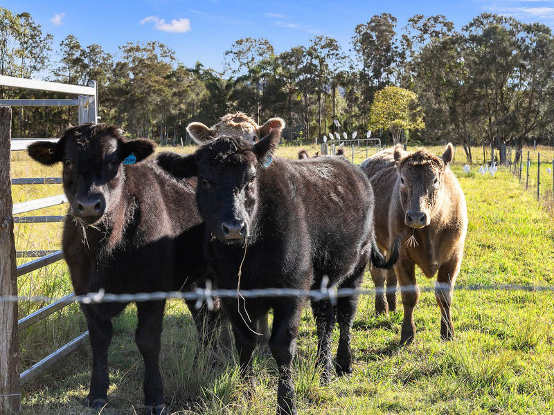 2 Byron Street, East Wardell, NSW 2477 - Image 10