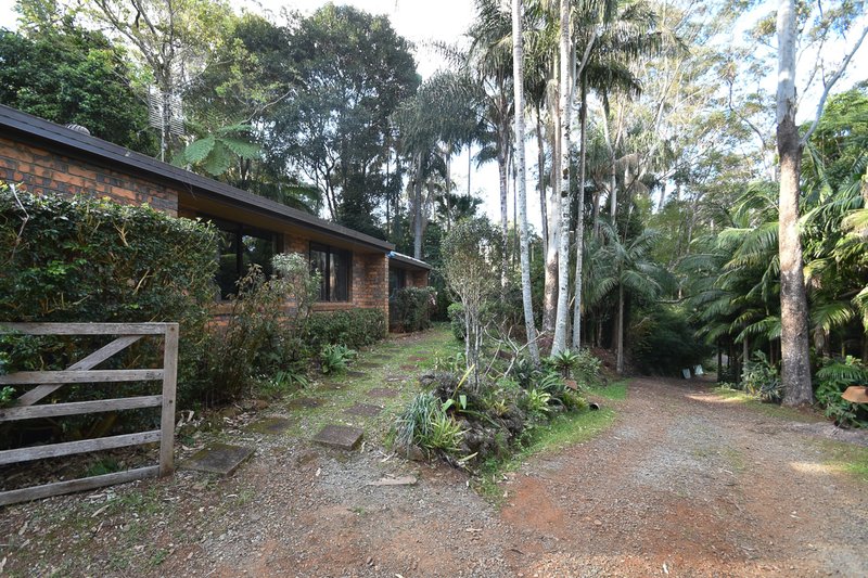 Photo - 2 Cayambe Court, Tamborine Mountain QLD 4272 - Image 2