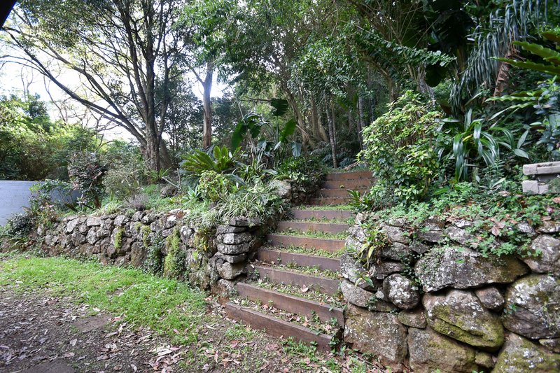 Photo - 2 Cayambe Court, Tamborine Mountain QLD 4272 - Image 11