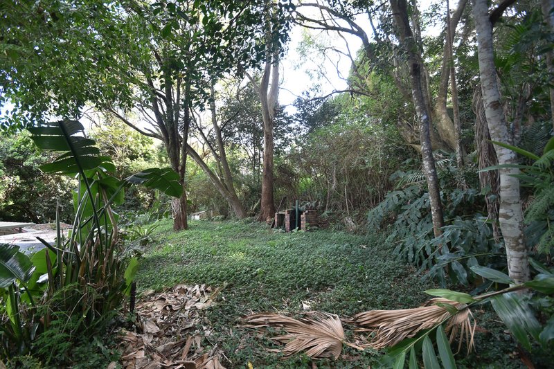 Photo - 2 Cayambe Court, Tamborine Mountain QLD 4272 - Image 12