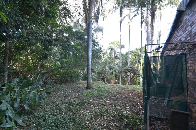 Photo - 2 Cayambe Court, Tamborine Mountain QLD 4272 - Image 13