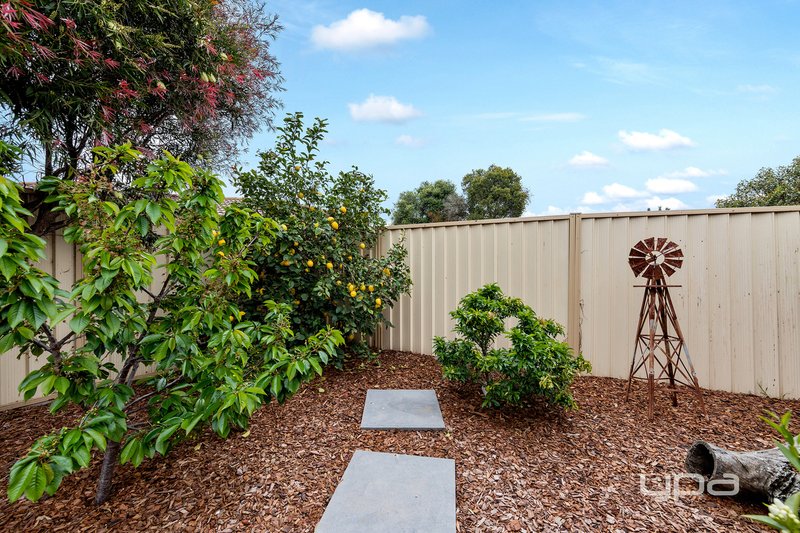 Photo - 2 College Place, Albanvale VIC 3021 - Image 18