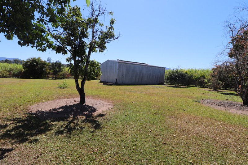 Photo - 2 Copleys Road, Abergowrie QLD 4850 - Image 9