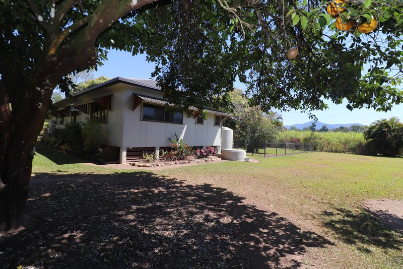 Photo - 2 Copleys Road, Abergowrie QLD 4850 - Image 10