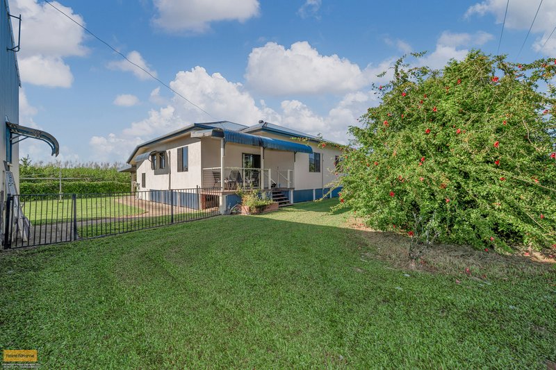 Photo - 2 Cuthill Road, Walter Lever Estate QLD 4856 - Image 1