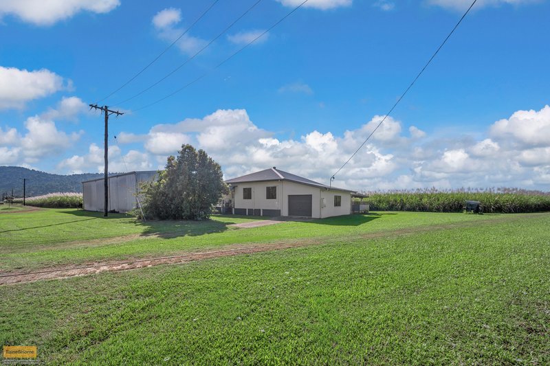 Photo - 2 Cuthill Road, Walter Lever Estate QLD 4856 - Image 22