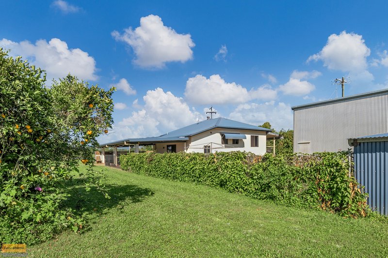 Photo - 2 Cuthill Road, Walter Lever Estate QLD 4856 - Image 23