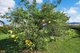 Photo - 2 Cuthill Road, Walter Lever Estate QLD 4856 - Image 24