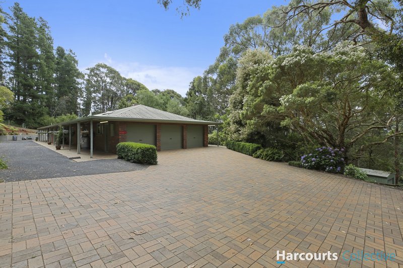 Photo - 2 Daphne Drive, Moe South VIC 3825 - Image 2