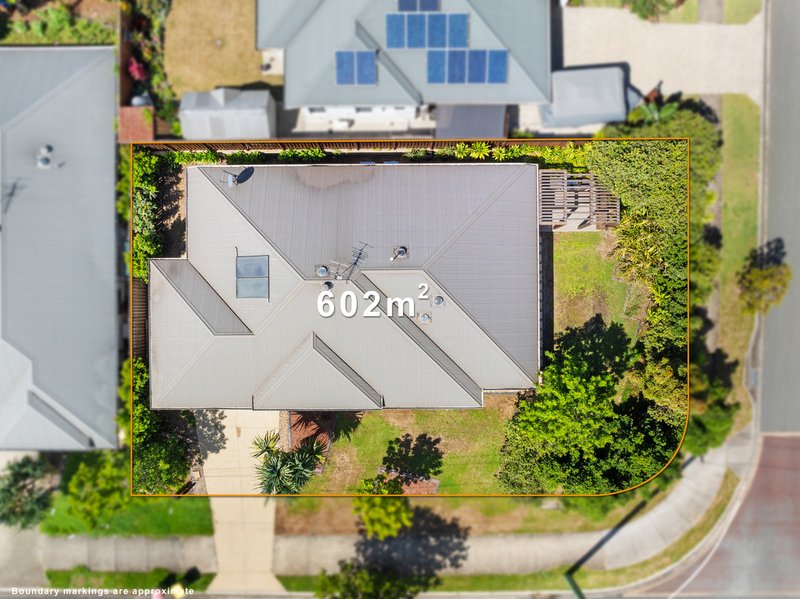 Photo - 2 East Ridge Street, Thornlands QLD 4164 - Image 13