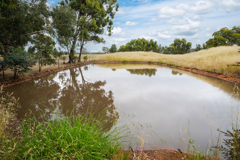 Photo - 2 Eastick Street, Brocklesby NSW 2642 - Image 13