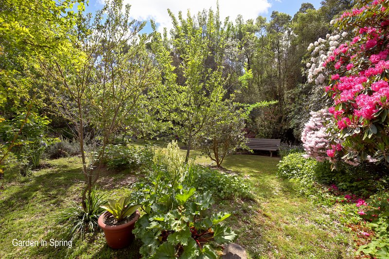 Photo - 2 Egmont Road, Medlow Bath NSW 2780 - Image 9