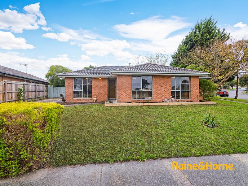 Photo - 2 Florence Avenue, Berwick VIC 3806 - Image 5