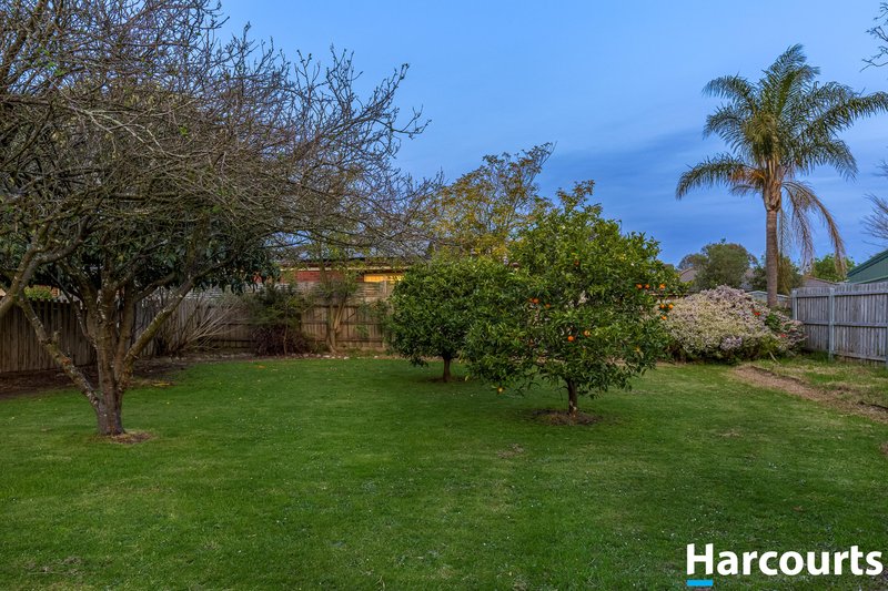 Photo - 2 Gibbs Road, Ferntree Gully VIC 3156 - Image 13